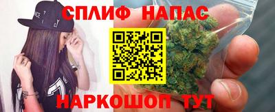 jwh Малоярославец
