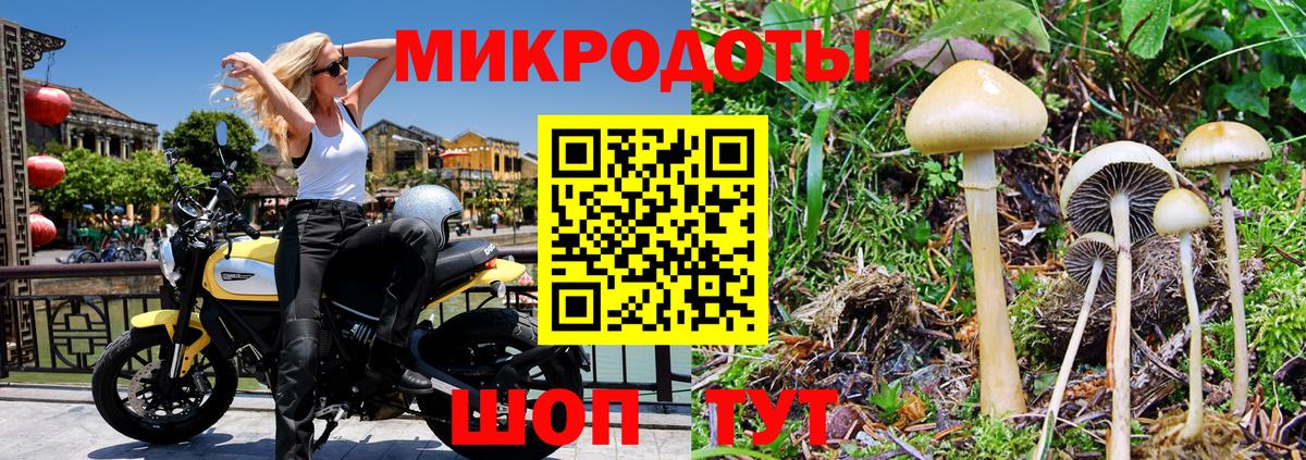 Псилоцибиновые грибы мухоморы Богородицк
