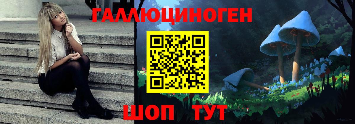 купить наркотики цена  Псилоцибиновые грибы мухоморы  Богородицк  Вход с VPN  Псилоцибиновые грибы мухоморы 